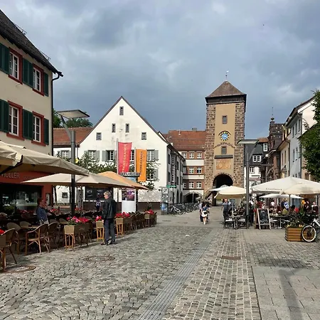 公寓 Petras 菲林根-施文宁根